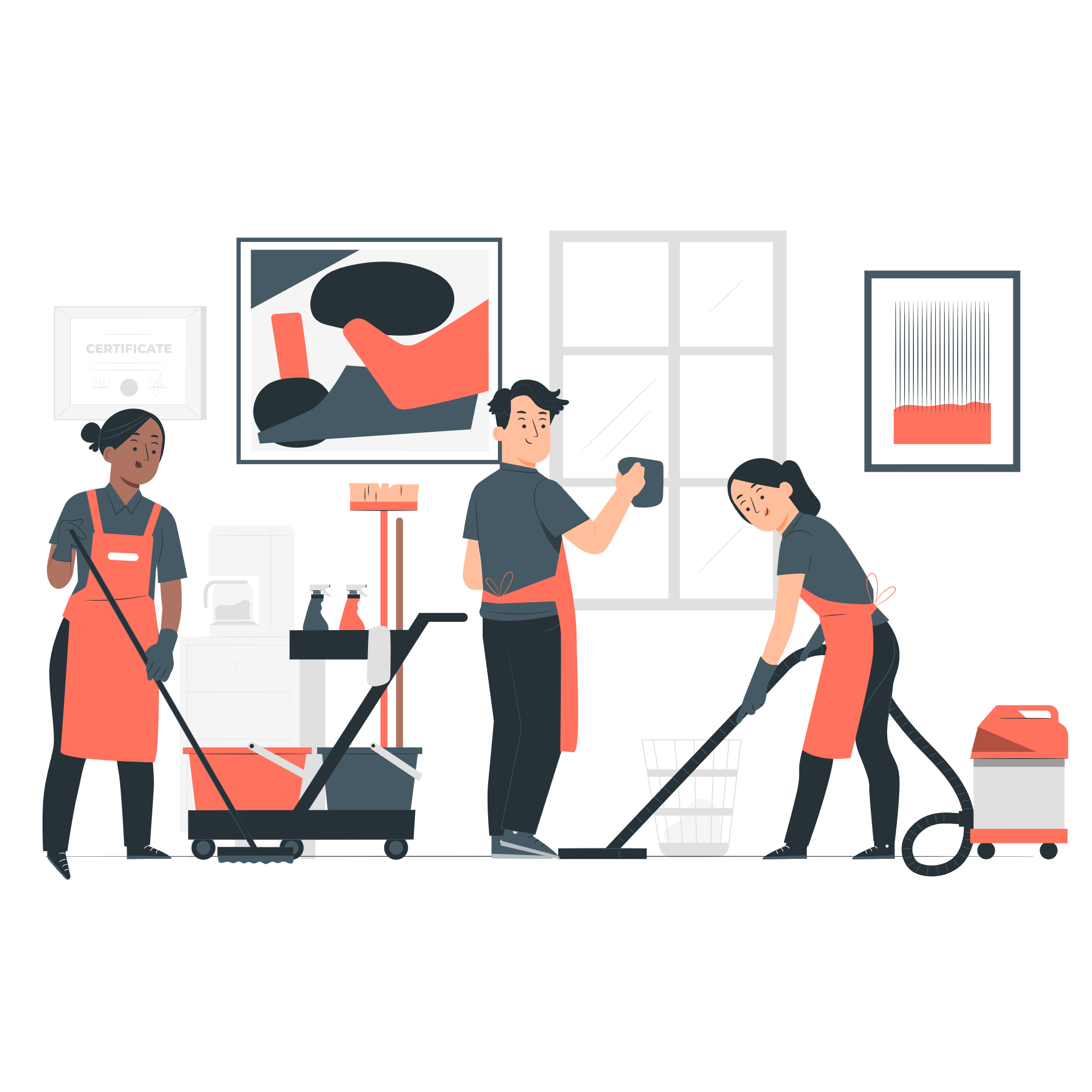 Limpieza profesional en hogar